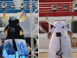 CULTURA/Parintins 2026: Horário da apuração é definido em consenso entre Caprichoso e Garantido