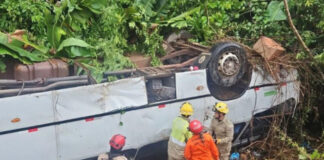 ACIDENTE/Micro-ônibus cai de ribanceira na BR-174 e deixa 17 feridos