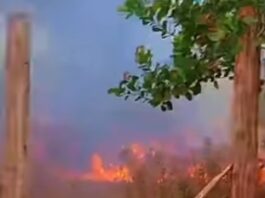 CIDADE/Moradores de IRANDUBA combatem novo incêndio com baldes e denunciam abandono da prefeitura