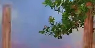 CIDADE/Moradores de IRANDUBA combatem novo incêndio com baldes e denunciam abandono da prefeitura